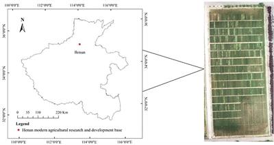 Automatic grading evaluation of winter wheat lodging based on deep learning